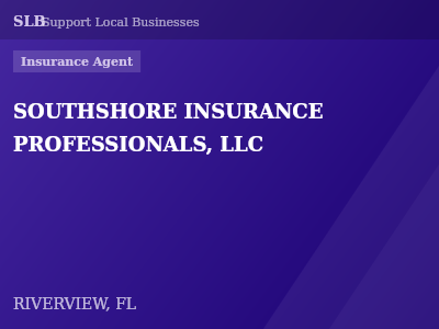 SOUTHSHORE INSURANCE PROFESSIONALS, LLC — Insurance Agent in RIVERVIEW, FL