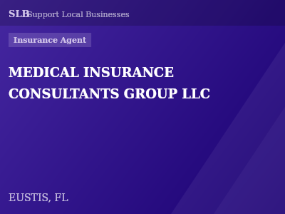 MEDICAL INSURANCE CONSULTANTS GROUP LLC — Insurance Agent in EUSTIS, FL