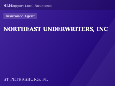 NORTHEAST UNDERWRITERS, INC — Insurance Agent in ST PETERSBURG, FL