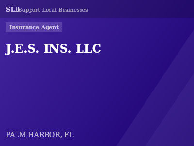 J.E.S. INS. LLC — Insurance Agent in PALM HARBOR, FL