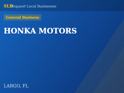 HONKA MOTORS — General Business in LARGO, FL