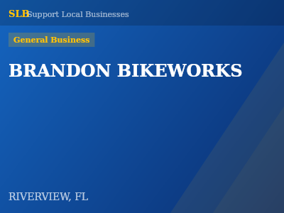 BRANDON BIKEWORKS — General Business in RIVERVIEW, FL