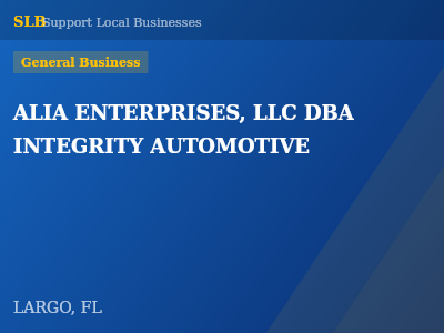 ALIA ENTERPRISES, LLC DBA INTEGRITY AUTOMOTIVE — General Business in LARGO, FL