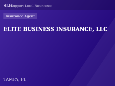 ELITE BUSINESS INSURANCE, LLC — Insurance Agent in TAMPA, FL