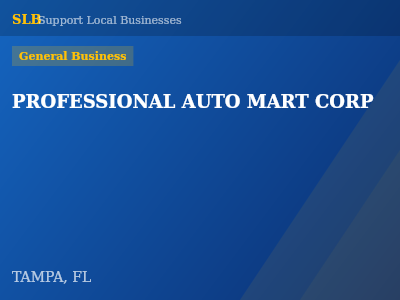 PROFESSIONAL AUTO MART CORP — General Business in TAMPA, FL
