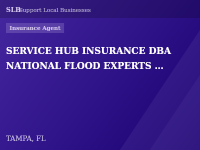 SERVICE HUB INSURANCE DBA NATIONAL FLOOD EXPERTS INSURANCE — Insurance Agent in TAMPA, FL