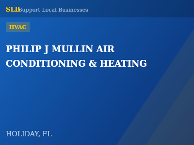PHILIP J MULLIN AIR CONDITIONING & HEATING — HVAC in HOLIDAY, FL