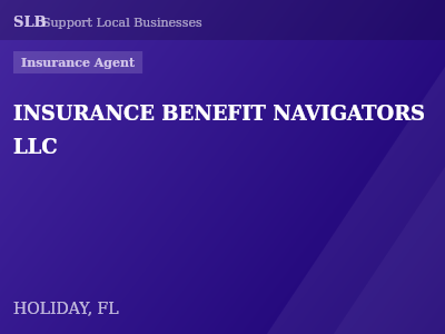 INSURANCE BENEFIT NAVIGATORS LLC — Insurance Agent in HOLIDAY, FL