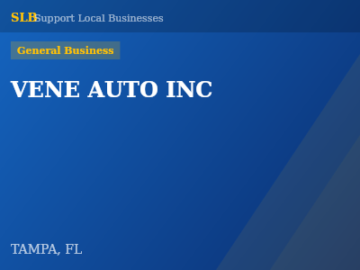 VENE AUTO INC — General Business in TAMPA, FL