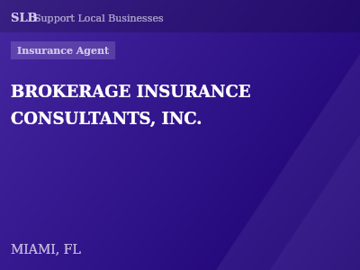 BROKERAGE INSURANCE CONSULTANTS, INC. — Insurance Agent in MIAMI, FL