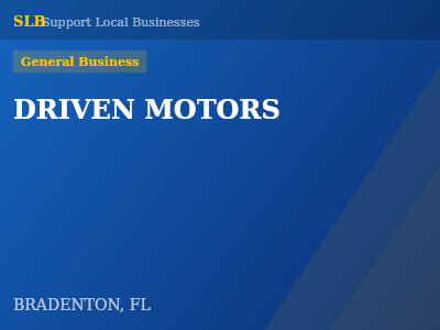 DRIVEN MOTORS — General Business in BRADENTON, FL