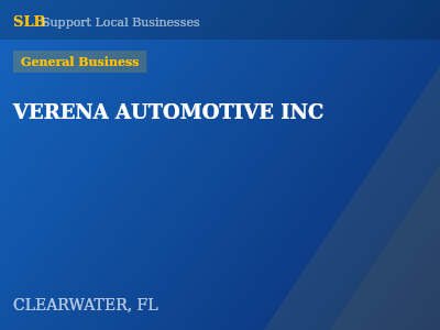 VERENA AUTOMOTIVE INC — General Business in CLEARWATER, FL