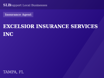 EXCELSIOR INSURANCE SERVICES INC — Insurance Agent in TAMPA, FL