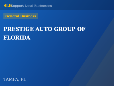 PRESTIGE AUTO GROUP OF FLORIDA — General Business in TAMPA, FL