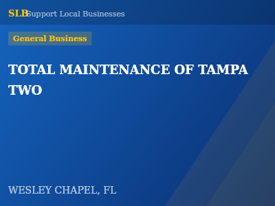 TOTAL MAINTENANCE OF TAMPA TWO — General Business in WESLEY CHAPEL, FL
