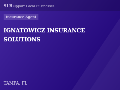 IGNATOWICZ INSURANCE SOLUTIONS — Insurance Agent in TAMPA, FL