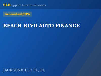 BEACH BLVD AUTO FINANCE — Accountant/CPA in JACKSONVILLE FL, FL