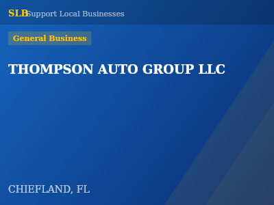 THOMPSON AUTO GROUP LLC — General Business in CHIEFLAND, FL