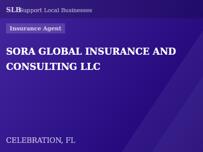 SORA GLOBAL INSURANCE AND CONSULTING LLC — Insurance Agent in CELEBRATION, FL