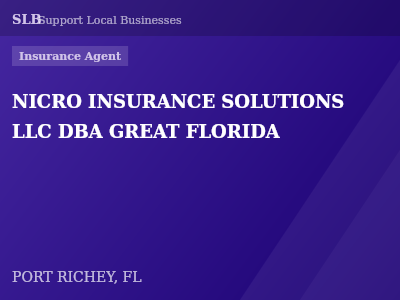 NICRO INSURANCE SOLUTIONS LLC DBA GREAT FLORIDA — Insurance Agent in PORT RICHEY, FL
