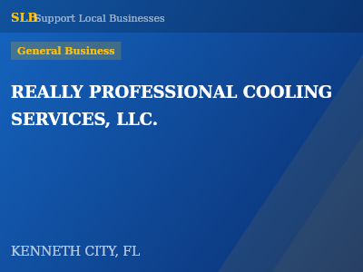 REALLY PROFESSIONAL COOLING SERVICES, LLC. — General Business in KENNETH CITY, FL