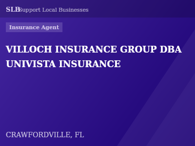 VILLOCH INSURANCE GROUP DBA UNIVISTA INSURANCE — Insurance Agent in CRAWFORDVILLE, FL