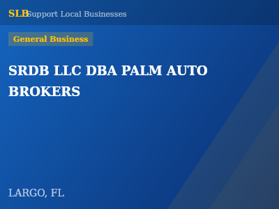 SRDB LLC DBA PALM AUTO BROKERS — General Business in LARGO, FL