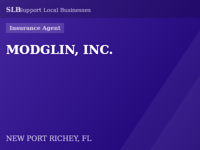 MODGLIN, INC. — Insurance Agent in NEW PORT RICHEY, FL