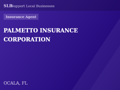 PALMETTO INSURANCE CORPORATION — Insurance Agent in OCALA, FL