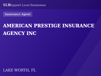 AMERICAN PRESTIGE INSURANCE AGENCY INC — Insurance Agent in LAKE WORTH, FL