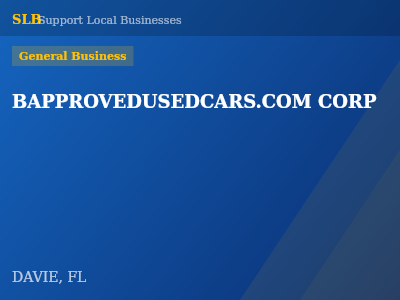 BAPPROVEDUSEDCARS.COM CORP — General Business in DAVIE, FL