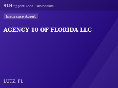 AGENCY 10 OF FLORIDA LLC — Insurance Agent in LUTZ, FL