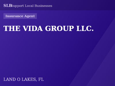 THE VIDA GROUP LLC. — Insurance Agent in LAND O LAKES, FL
