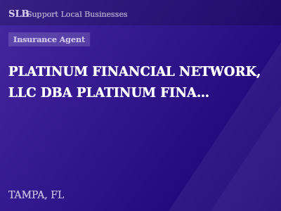 PLATINUM FINANCIAL NETWORK, LLC DBA PLATINUM FINANCIAL GROUP — Insurance Agent in TAMPA, FL
