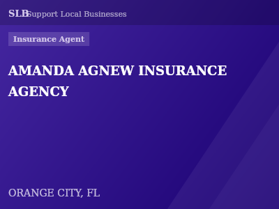 AMANDA AGNEW INSURANCE AGENCY — Insurance Agent in ORANGE CITY, FL