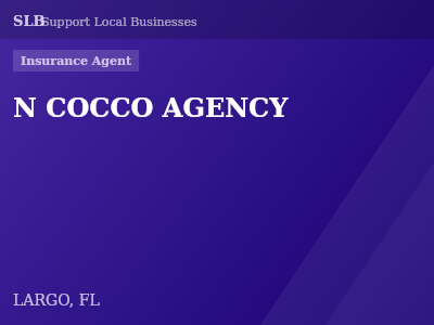 N COCCO AGENCY — Insurance Agent in LARGO, FL