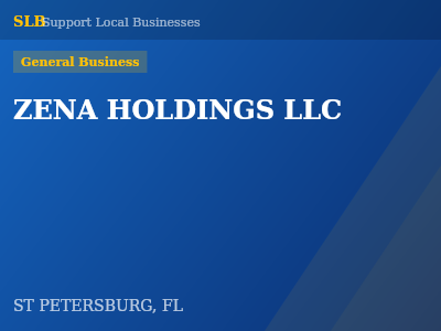 ZENA HOLDINGS LLC — General Business in ST PETERSBURG, FL