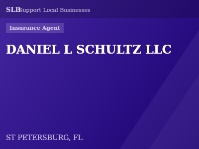 DANIEL L SCHULTZ LLC — Insurance Agent in ST PETERSBURG, FL
