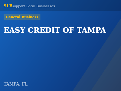 EASY CREDIT OF TAMPA — General Business in TAMPA, FL
