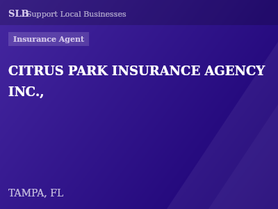 CITRUS PARK INSURANCE AGENCY INC., — Insurance Agent in TAMPA, FL