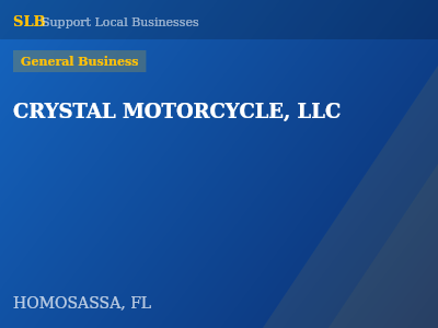 CRYSTAL MOTORCYCLE, LLC — General Business in HOMOSASSA, FL