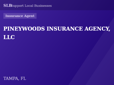 PINEYWOODS INSURANCE AGENCY, LLC — Insurance Agent in TAMPA, FL