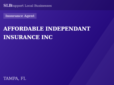 AFFORDABLE INDEPENDANT INSURANCE INC — Insurance Agent in TAMPA, FL