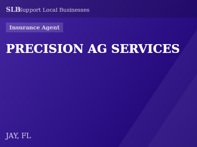 PRECISION AG SERVICES — Insurance Agent in JAY, FL