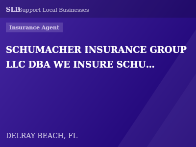 SCHUMACHER INSURANCE GROUP LLC DBA WE INSURE SCHUMACHER INSURANCE — Insurance Agent in DELRAY BEACH, FL