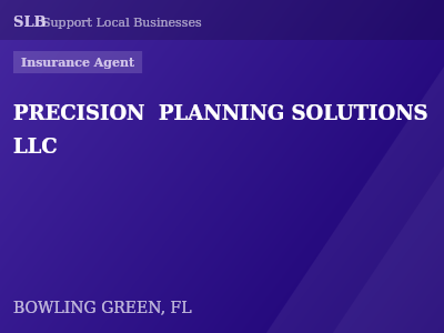 PRECISION  PLANNING SOLUTIONS LLC — Insurance Agent in BOWLING GREEN, FL