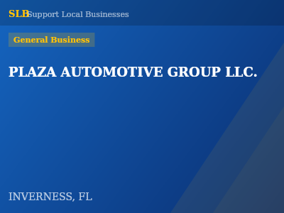 PLAZA AUTOMOTIVE GROUP LLC. — General Business in INVERNESS, FL