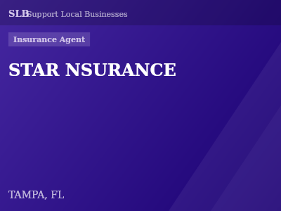 STAR NSURANCE — Insurance Agent in TAMPA, FL