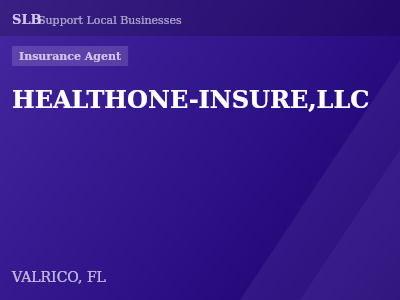 HEALTHONE-INSURE,LLC — Insurance Agent in VALRICO, FL