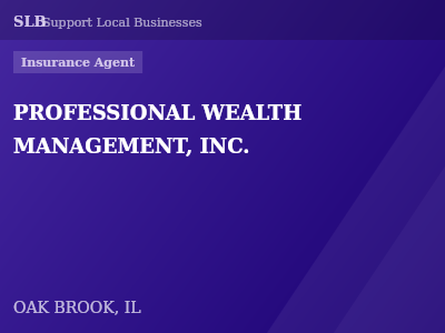 PROFESSIONAL WEALTH MANAGEMENT, INC. — Insurance Agent in OAK BROOK, IL